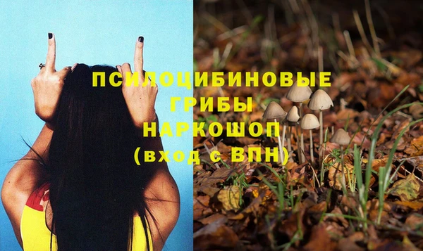 прущая мука Баксан